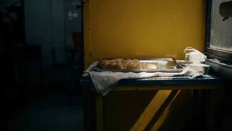 Zdjęcie ilustrujące temat niezdolności do pracy