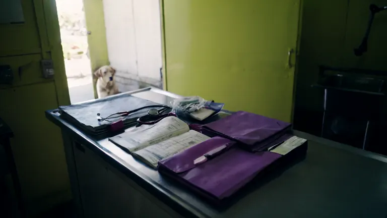 Zdjęcie ilustrujące temat ubezpieczenia samochodu
